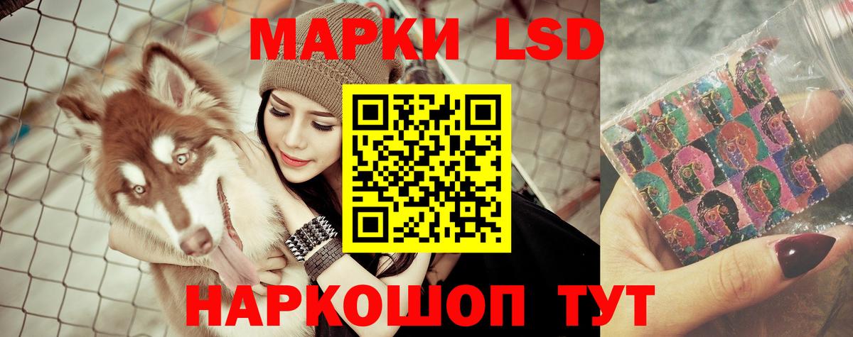 Лсд 25 экстази  Вход с VPN  ЛСД экстази кислота  Новодвинск  ЛСД экстази ecstasy 