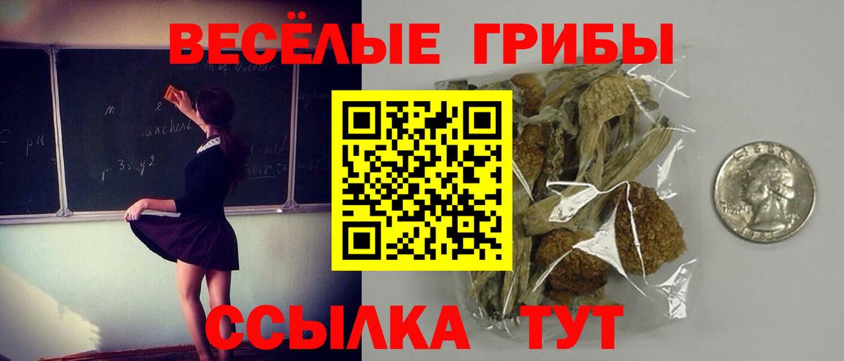 Новодвинск  Псилоцибиновые грибы Cubensis  Вход с VPN 